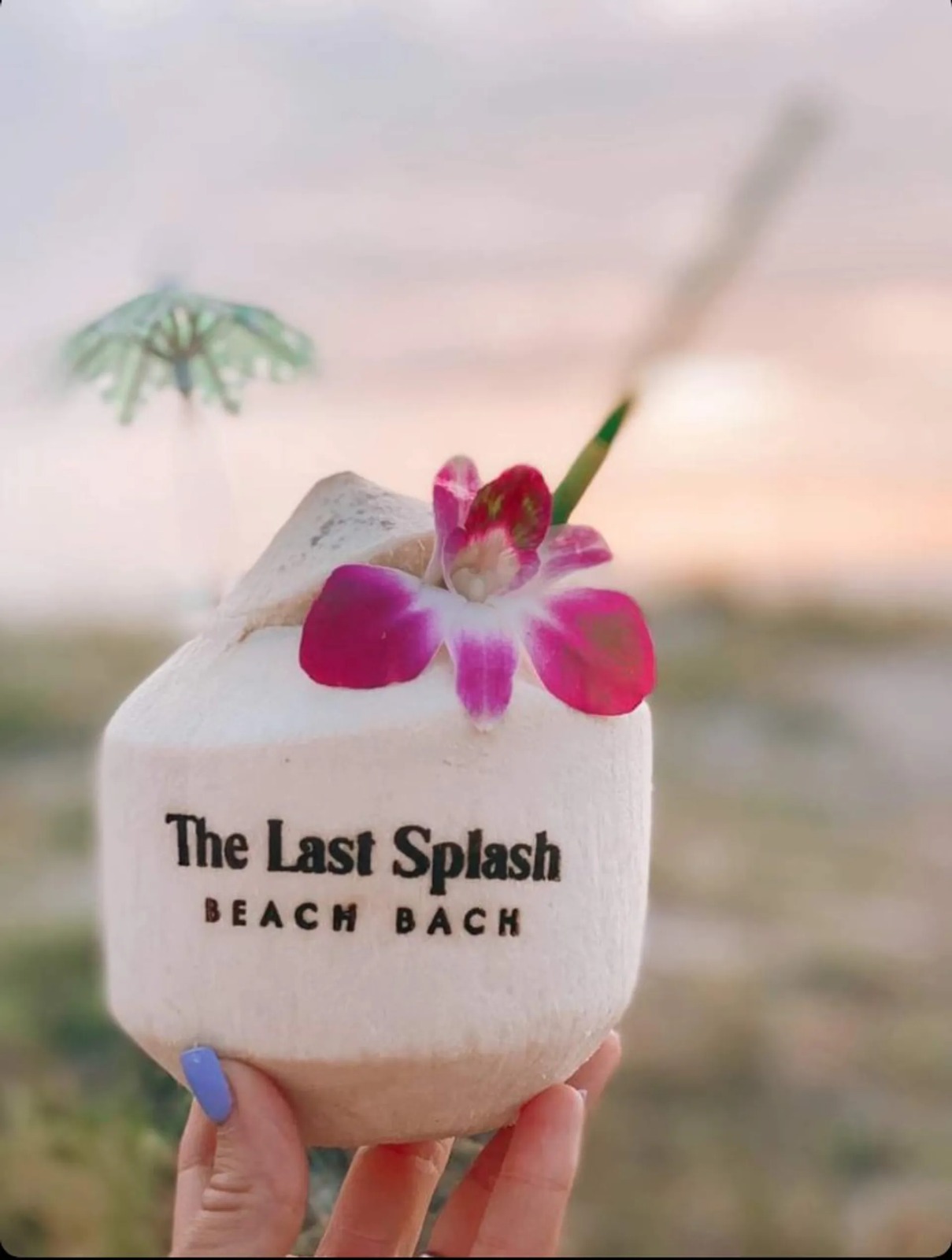 Goan Nuts: Personalized Coconuts