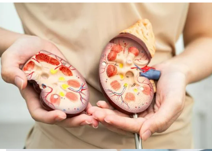 Reconstructive Urology