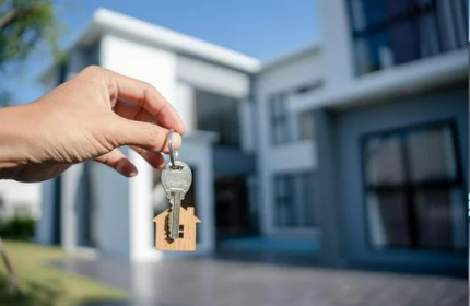 Hassle-Free Guidance for Buyers and Sellers