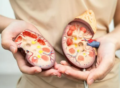 Chronic Diseases: