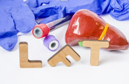 Liver Function Test (LFT)