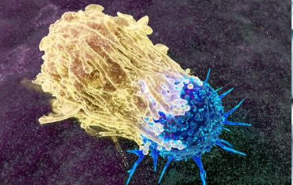 Cancer Marker Testing